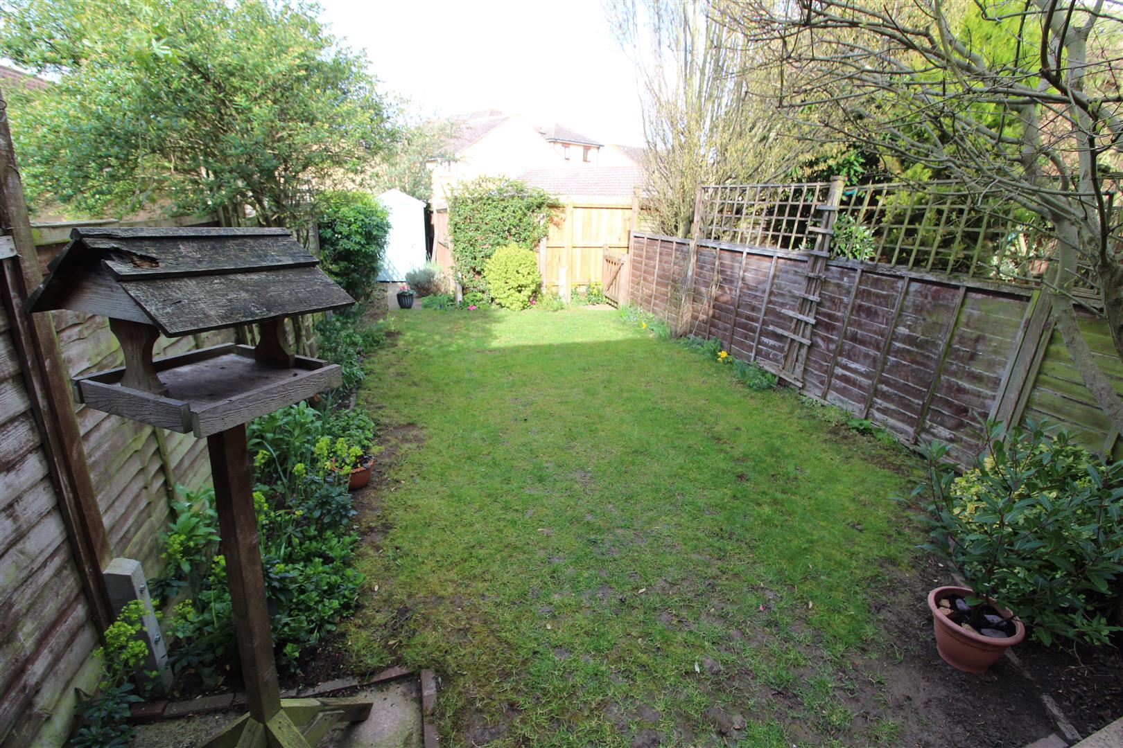 Tamarin Gardens, Cambridge image 11